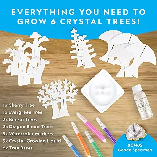 National Geographic Crystal Growing Kit offers vibrant crystal trees, ideal for engaging and colorful science fair projects for students and educators.
