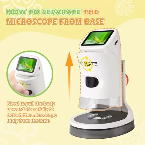 Explore the microscopic world with a portable 1000x HD LCD kids' microscope. Perfect educational tool for curious minds aged 8-12.