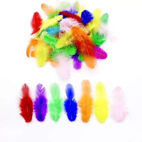 800pcs Colorful Craft Rooster Feathers: Perfect for DIY Arts and Educational Projects, offering a Vibrant Design for Creative Crafting Activities.