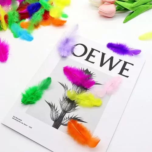 Colorful Rooster Feathers Set for Creative DIY Crafts and Engaging Educational Activities – Perfect for Adding Vibrancy to Your Projects
