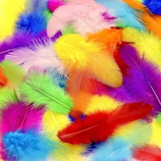 DIY Craft Rooster Feathers: 800pcs, 3-5 inches, perfect for vibrant arts projects and educational activities. Ideal for crafts and classroom use.