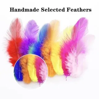 Colorful Rooster Feathers, Pack of 800, Ideal for DIY Crafts, Educational Projects and Crafting Supplies, Perfect for Creative Enhancements