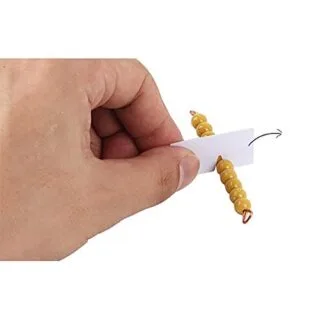 Engage students with the Montessori Golden Beads Decimal System, an effective math activity for educators to teach foundational arithmetic concepts.