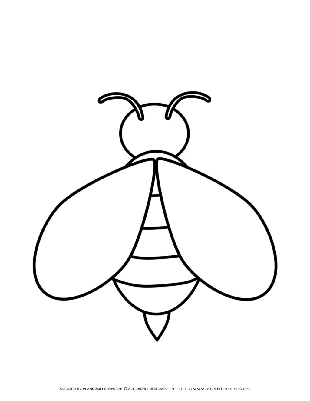 Black and white drawing of a bee.
