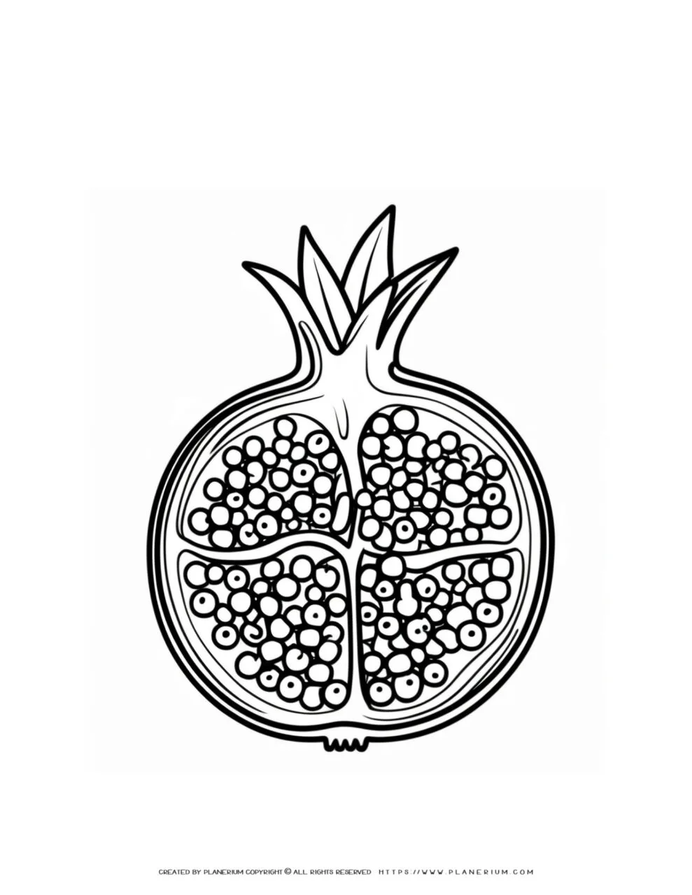 Printable
  coloring page featuring a half pomegranate with visible seeds, perfect for
  kids to explore and enjoy in a fun, educational way.