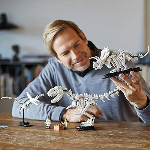 Explore the STEM Dinosaur Fossils Kit, a 910-piece educational set ideal for teachers and hobbyists, perfect for uncovering ancient prehistoric wonders.