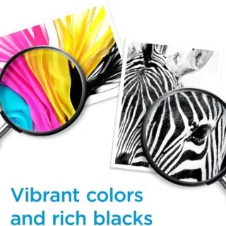 HP 910XL Ink Pack: High-Yield Cyan, Magenta, Yellow, Black for OfficeJet 8010 Printer. Ideal for educators seeking reliable printing supplies.