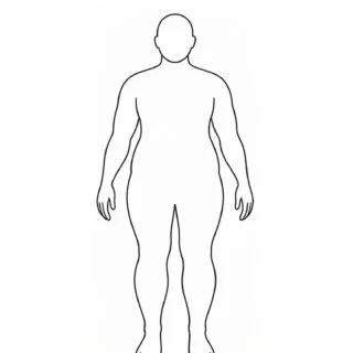 Blank plus size body outline template for kids to color and label